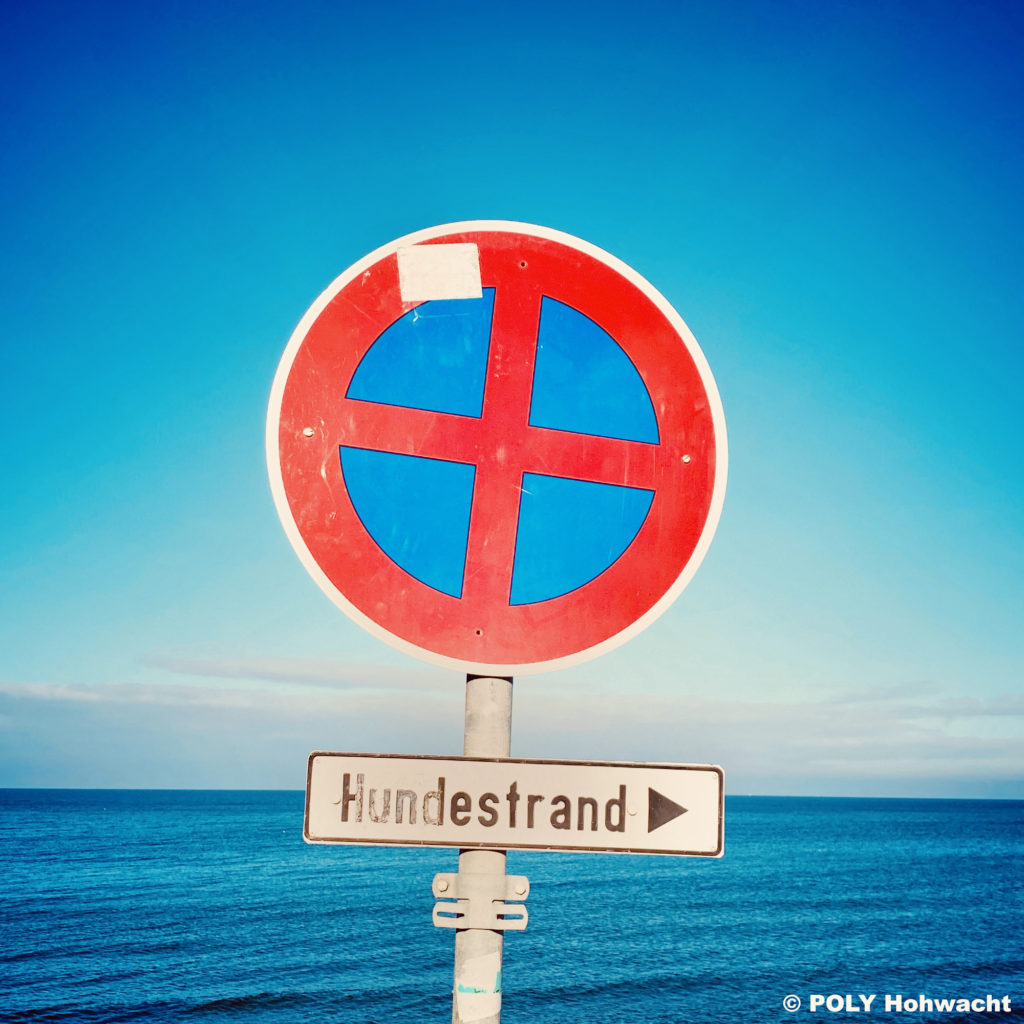 Hundestrand Hohwacht