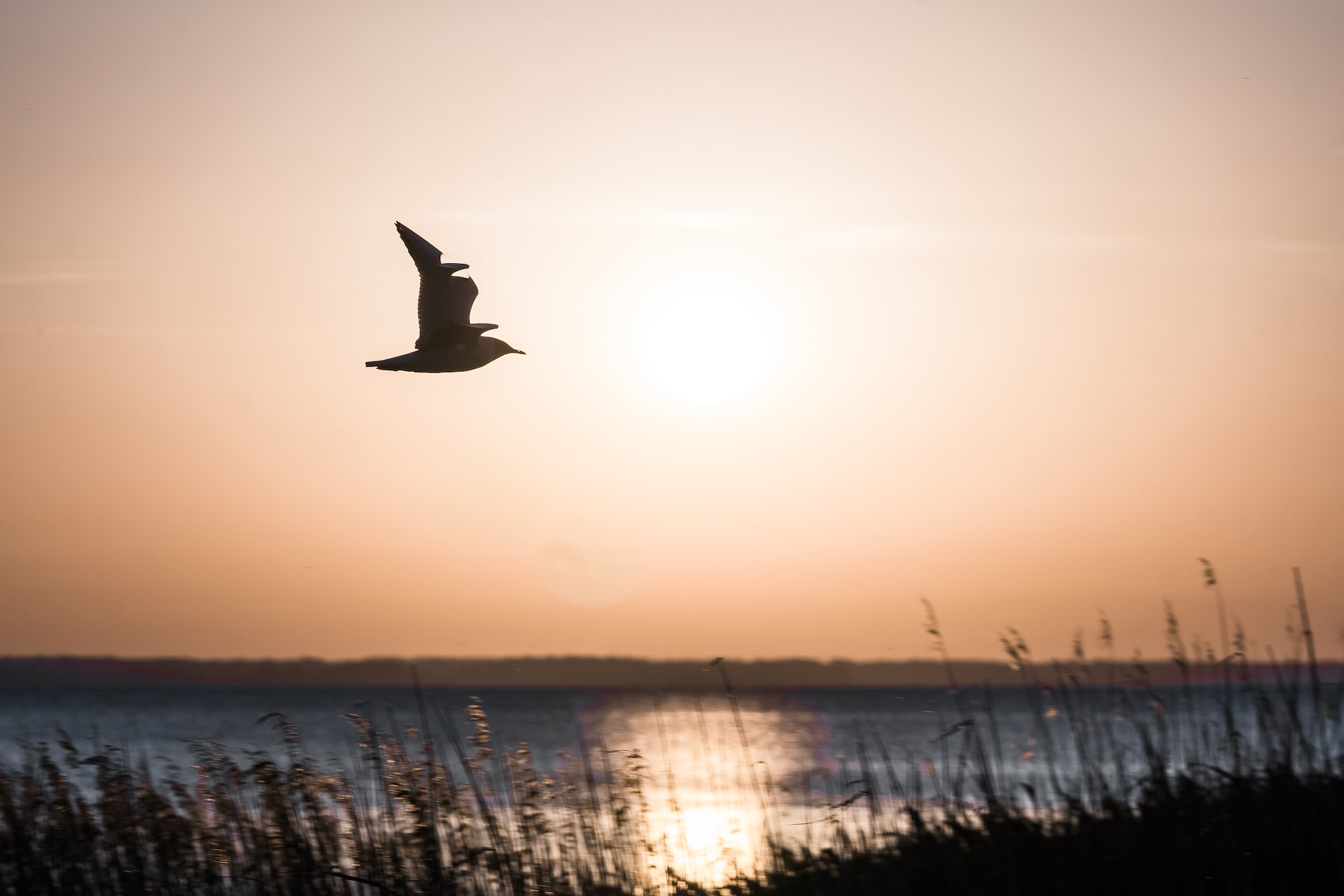 Meer bei Sonnenuntergang