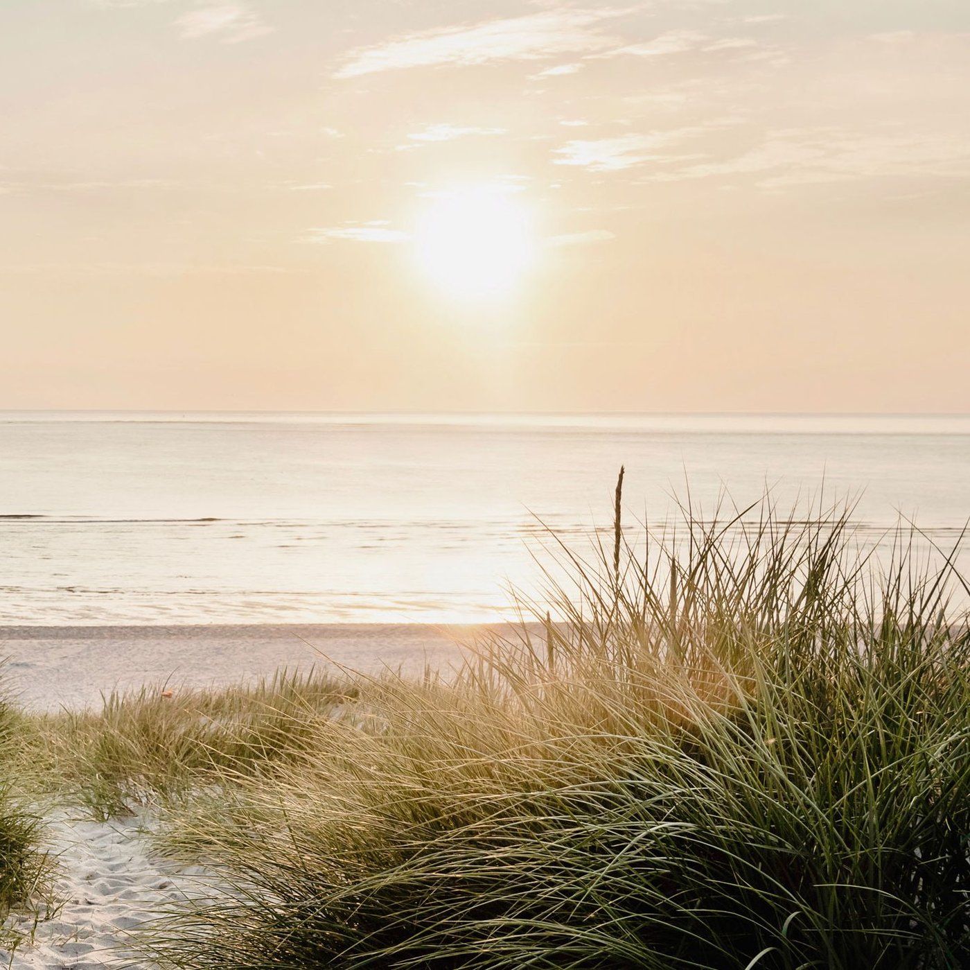 Strandabschnitt Ostsee mit Dünengras bei Sonnenuntergang