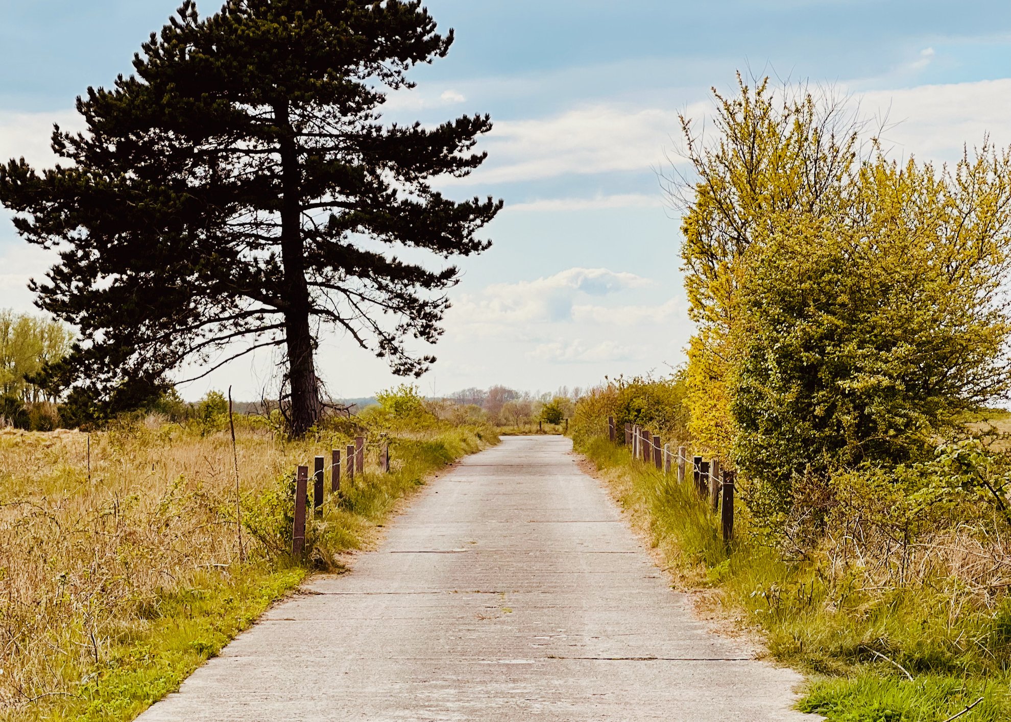 Radweg in Hohwacht