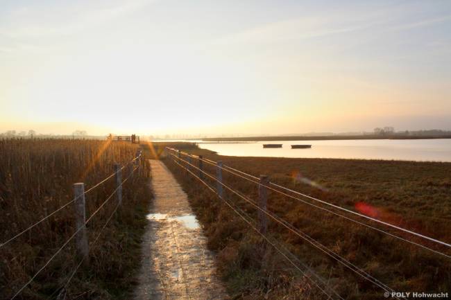 Spazierweg in der Abenddämmerung am Sehlendorfer Binnensee Spazierweg in der Abenddämmerung am Sehlendorfer Binnensee